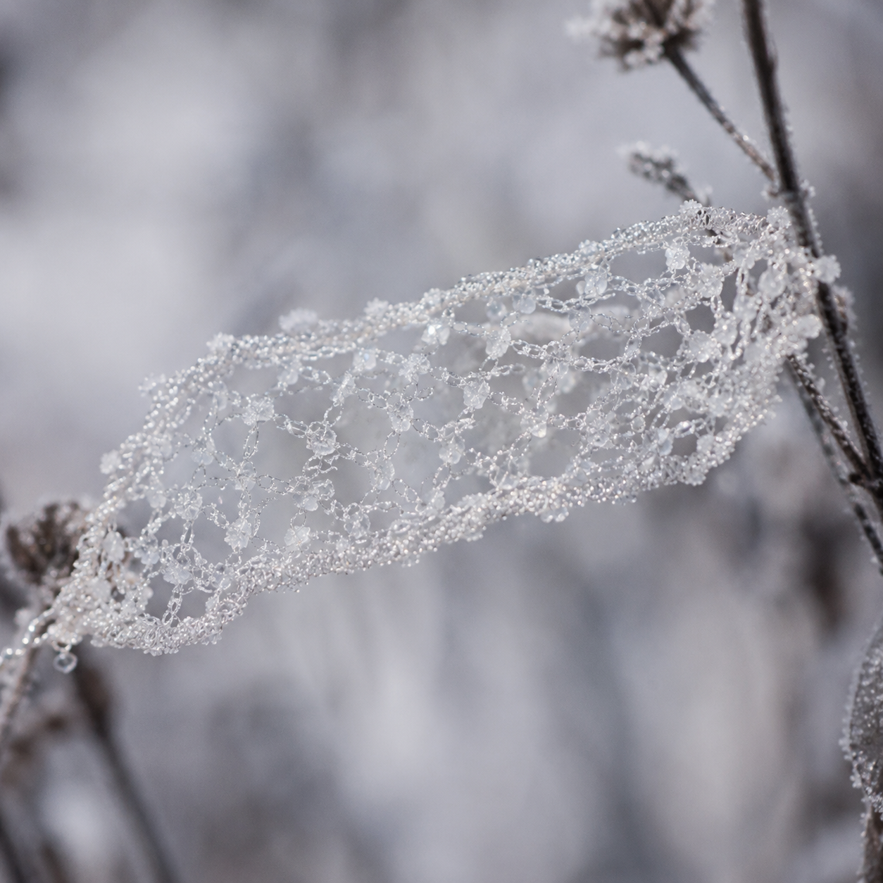 Hoarfrost ice lace web structure inspiring OREYNE handwoven wire jewelry