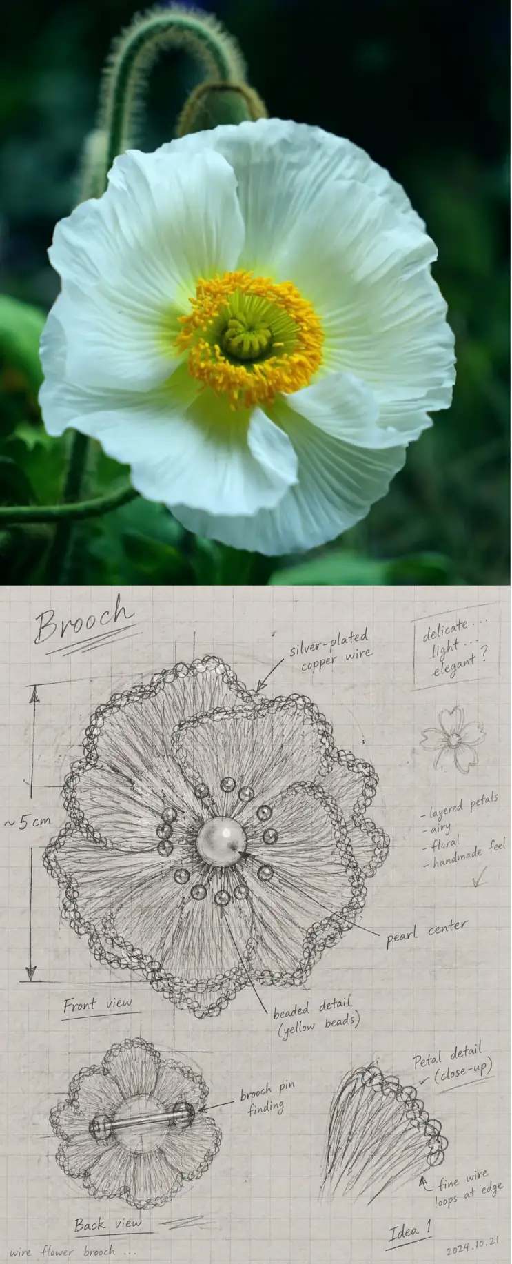 White poppy flower with soft layered petals and a ring of golden yellow stamens